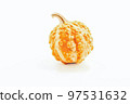 Decorative pumpkin isolated on a white background 97531632