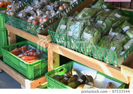 Road Station 97533544