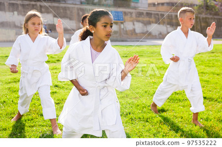 Positive children practicing karate in park 97535222