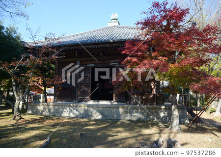 Seiryoji Temple in Autumn, Saga, Ukyo-ku, Kyoto City Seiryoji Temple in Autumn, Saga, Ukyo-ku, Kyoto City 97537286