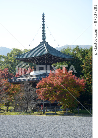 Seiryoji Temple in Autumn, Tahoto, Saga, Ukyo-ku, Kyoto Seiryoji Temple in Autumn, Tahoto, Saga, Ukyo-ku, Kyoto 97537293