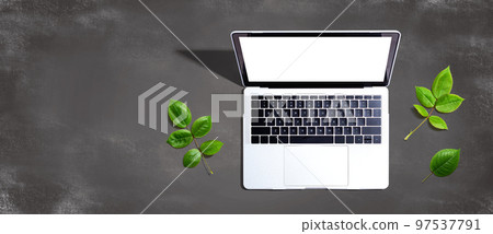Laptop computer with green leaves Laptop computer with green leaves 97537791