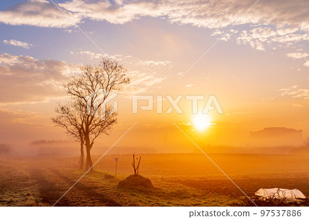 ``Minuma Tambo''冬日早晨的美麗霧景 ``Minuma Tambo''冬日早晨的美麗霧景 97537886