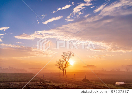 ``Minuma Tambo''冬日早晨的美麗霧景 ``Minuma Tambo''冬日早晨的美麗霧景 97537887