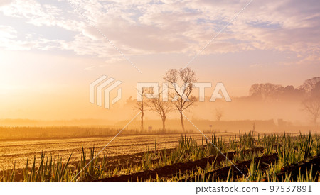 ``Minuma Tambo''冬日早晨的美麗霧景 97537891