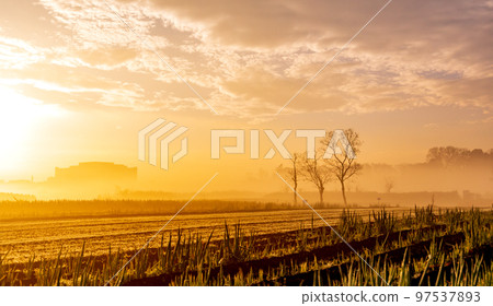 ``Minuma Tambo''冬日早晨的美麗霧景 97537893