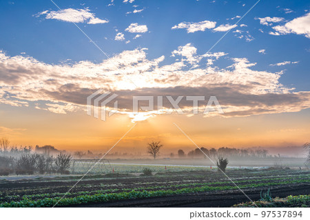 ``Minuma Tambo''冬日早晨的美麗霧景 97537894