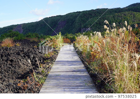 Volcano walking path (Miyakejima, Tokyo) Volcano walking path (Miyakejima, Tokyo) 97538025