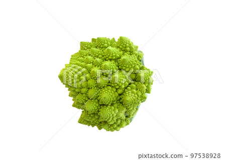 Italian vegetable romanesco [white background/clipping] 97538928