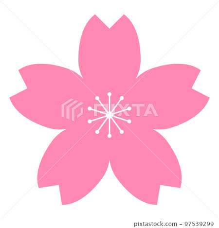 Simple cherry blossom icon Simple cherry blossom icon 97539299