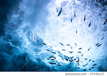 魚在海上學校 魚在海上學校 97540225