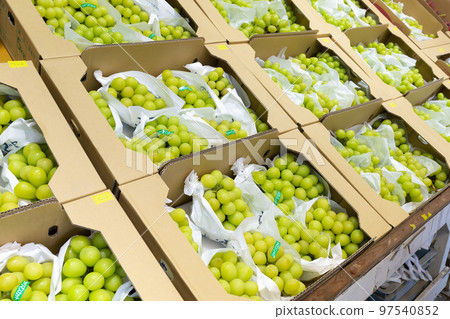 閃耀馬斯喀特直營店 97540852