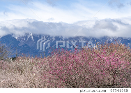 Inabe City Bairin Park 97541986