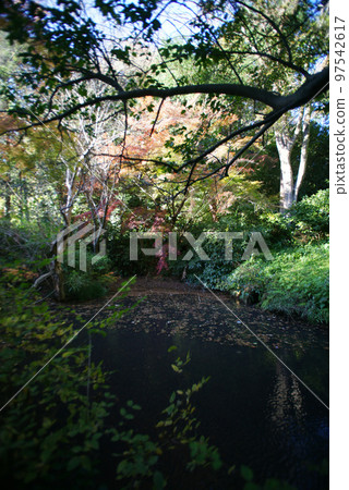 Myohonji Soshido Pond and Autumn Leaves 97542617