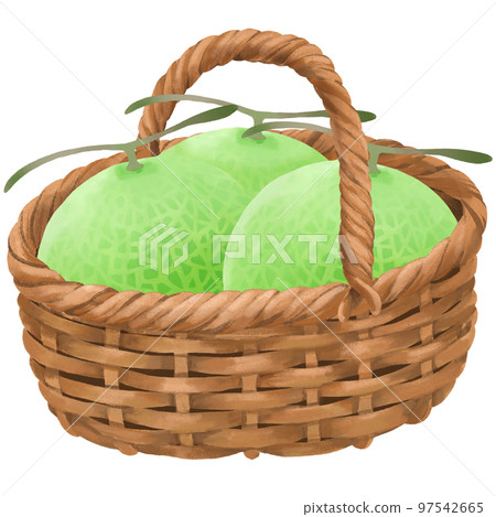裝滿筐子的瓜插畫 97542665
