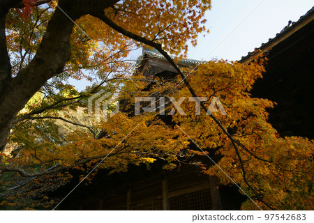 Autumn leaves of Myohonji Soshido Autumn leaves of Myohonji Soshido 97542683