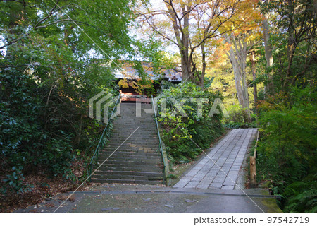 Autumn leaves of Myoji Temple Autumn leaves of Myoji Temple 97542719