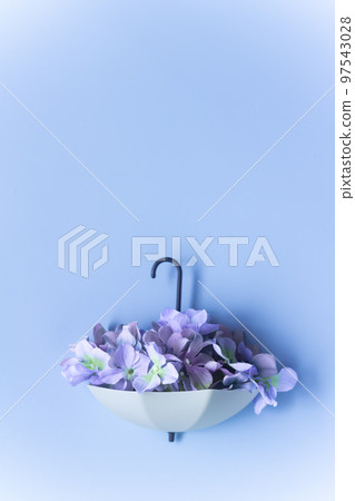 Rainy season 97543028