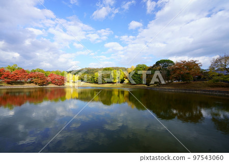 大銀杏樹和東大寺秋天倒影在奈良公園大佛池 大銀杏樹和東大寺秋天倒影在奈良公園大佛池 97543060