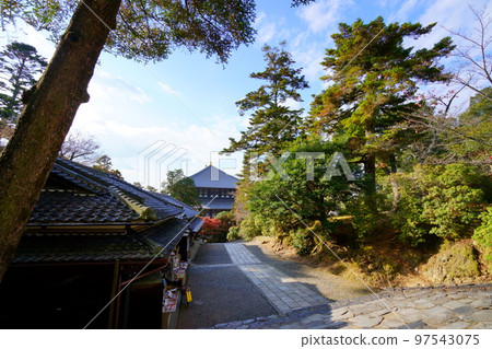 從東大寺正丘眺望東大寺和紀念品商店 從東大寺正丘眺望東大寺和紀念品商店 97543075