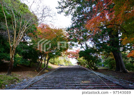 從東大寺貓團下看鐘樓 97543089