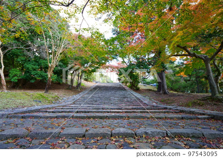 從東大寺貓團下看鐘樓 97543095