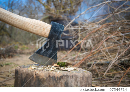 Hatchet or ax standing upright in a tree stump 97544714