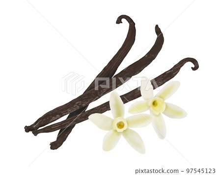 Vanilla Beans 97545123