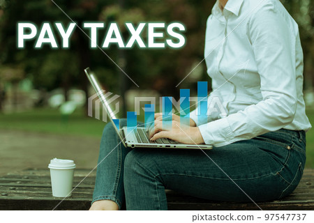 Conceptual display Pay Taxes. Business overview processing taxation and accounting to calculate salary payment Conceptual display Pay Taxes. Business overview processing taxation and accounting to calculate salary payment 97547737