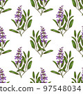 Color Sage Pattern in Hand-Drawn Style 97548034