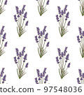 Color Lavender Pattern in Hand-Drawn Style 97548036