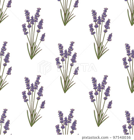 Color Lavender Pattern in Hand-Drawn Style 97548036