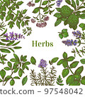 Color Template with Herbs in Hand-Drawn Style 97548042