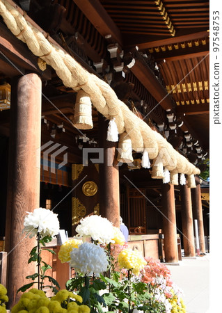 The guardian deity of Happo, Samukawa Shrine in autumn The guardian deity of Happo, Samukawa Shrine in autumn 97548753