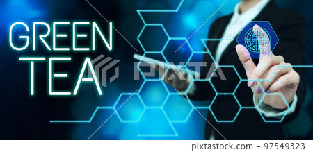 Handwriting text Green Tea. Business showcase type of tea that is made from Camellia sinensis leaves and buds 97549323