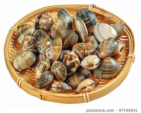 蛤蜊拼盤 97549842