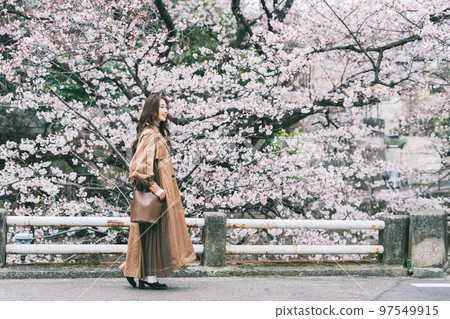 Cherry blossoms and a young woman 97549915