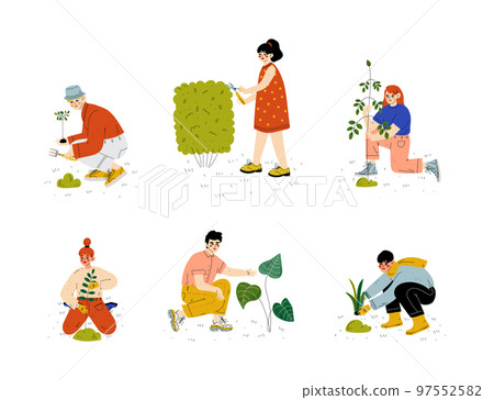 Man and Woman Working in Garden Growing and Cultivating Plant Vector Set 97552582