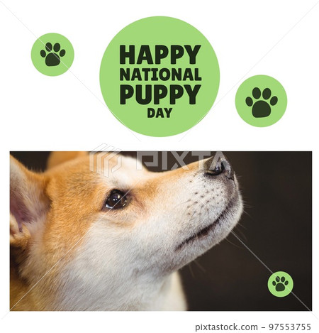 Composition of happy national puppy day text over dog Composition of happy national puppy day text over dog 97553755