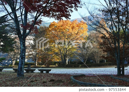 Autumn leaves, seasonal background material, autumn Autumn leaves, seasonal background material, autumn 97553844