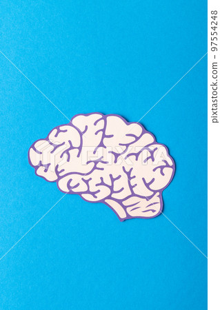 Vertical composition of white and purple human brain, on blue background with copy space Vertical composition of white and purple human brain, on blue background with copy space 97554248
