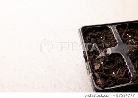 Seedling tray filled with dark soil and fertiliser, with copy space Seedling tray filled with dark soil and fertiliser, with copy space 97554777