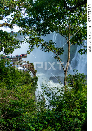 Magnificent views of the Iguazu Falls 97555256