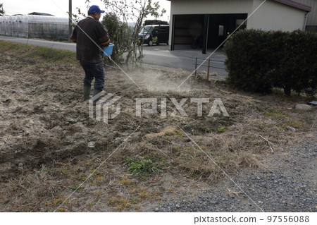 Making soil during winter, sowing rice bran 97556088
