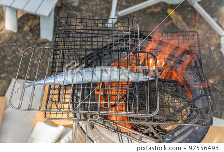 [Salt-grilled raw saury at the auto campsite] 97556493