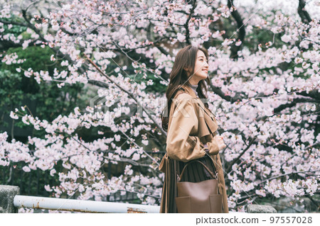 櫻花和一個年輕女子 97557028