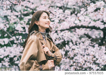 Cherry blossoms and a young woman 97557035