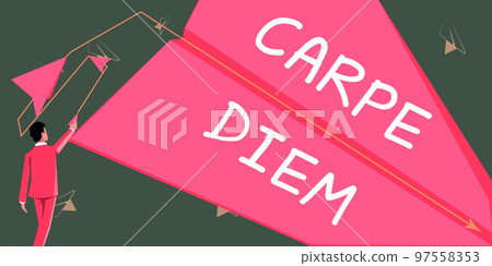 Text showing inspiration Carpe Diem. Business overview public festival which people play music and dance Text showing inspiration Carpe Diem. Business overview public festival which people play music and dance 97558353