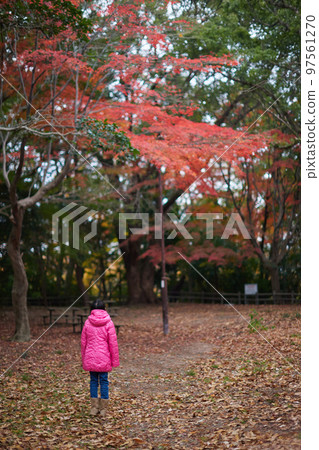 Back view of an elementary school girl walking with a landscape of autumn leaves in a winter park 97561270