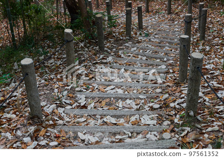 冬季公園步行道狀況 冬季公園步行道狀況 97561352